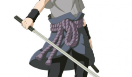 动漫忍者,隐秘世界的守护者